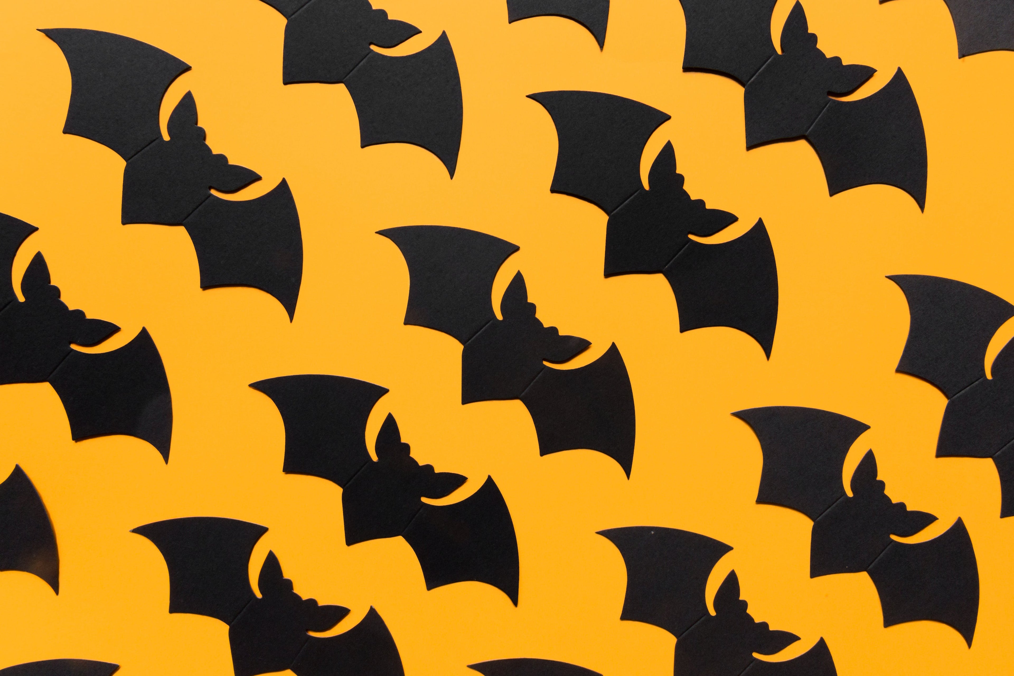 Halloween Sprays & Picks (Coming Soon)